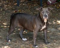 Talbot Humane - July 31, 2025