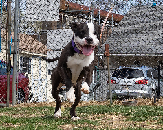 Norah (1 of 12)
