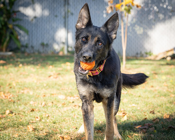 Kona-4