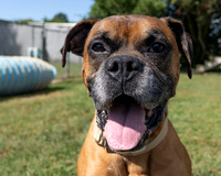Talbot Humane - September 3, 2025