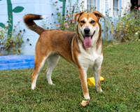 Talbot Humane - October 8, 2025