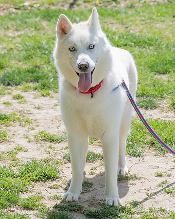 Zoe-6