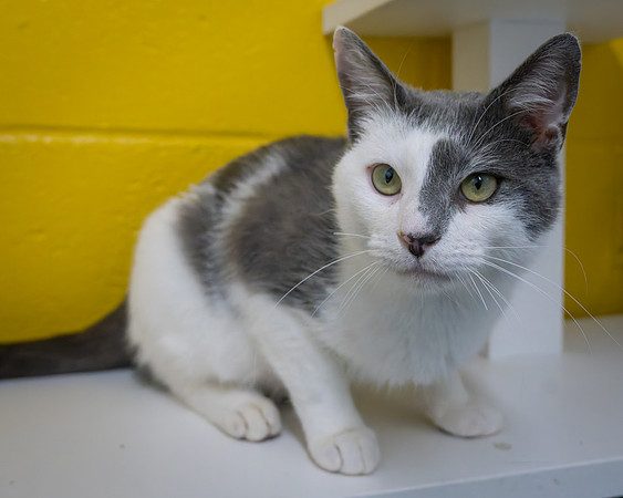 20251126_3035