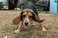 Talbot Humane - December 10, 2025