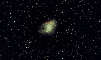 M1