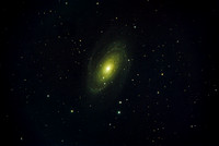 M81