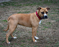 Talbot Humane -March 4, 2026