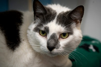 Talbot Humane - March 25, 2026