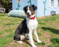 Talbot Humane - April 1, 2026