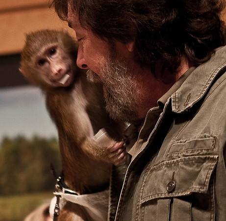 Baboon
