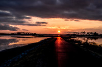 _MG_1312