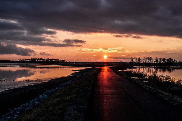 _MG_1312