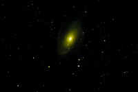 M81