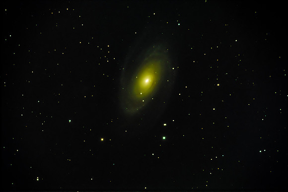 M81