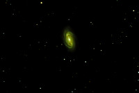 NGC2903