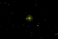 NGC3344