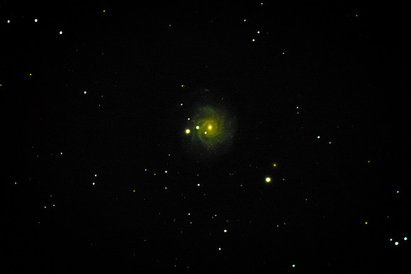 NGC3344