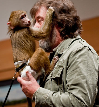 Baboon