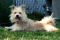 Talbot Humane - May 13, 2026