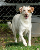 Talbot Humane - May 27, 2026