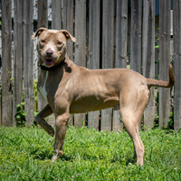 Talbot Humane - July 23, 2026