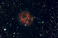 C19