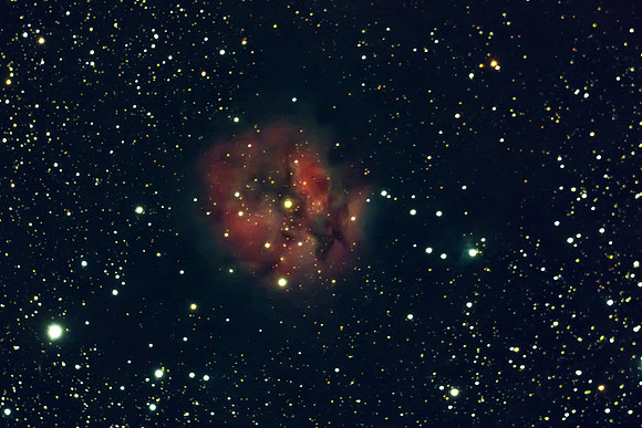 C19