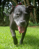 Lucy-5