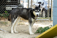 20240814_2528-arw