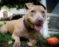 Talbot Humane - August 20, 2025