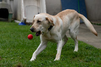 20240515_1521-arw