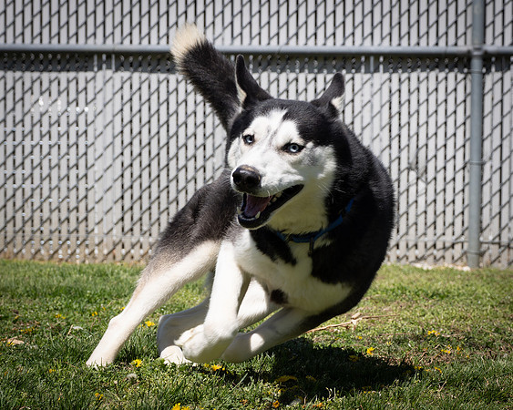 Keko (4 of 9)