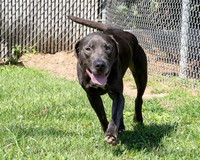 Talbot Humane - August 2, 2024