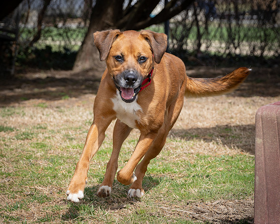 Willow (5 of 10)