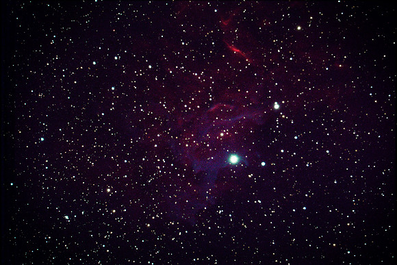 C31