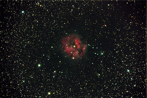C19