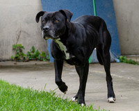 20240515_1848-arw-Edit