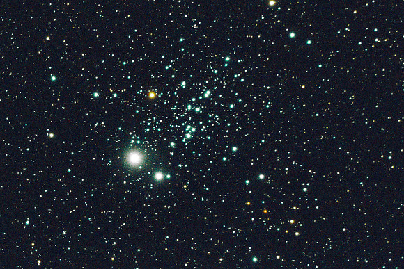 C13