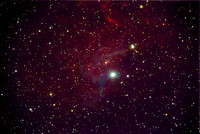 C31