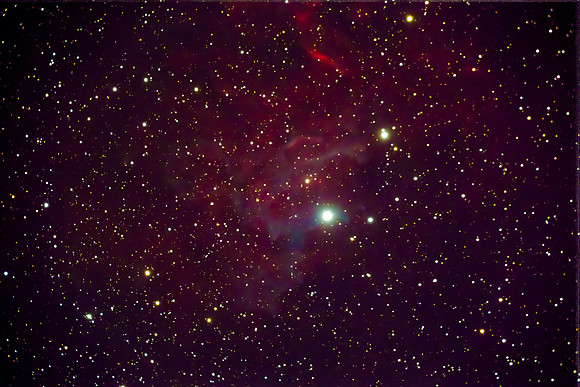 C31