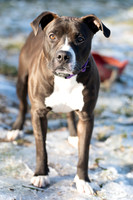 Blue-7