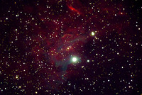 C31