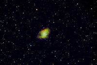 M1