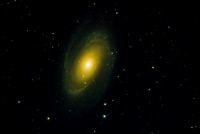 M81