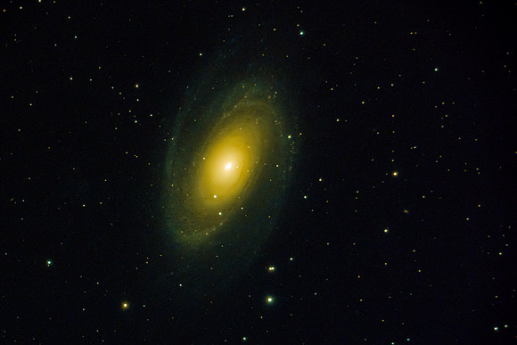 M81