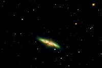 M82