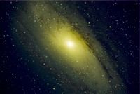 M31