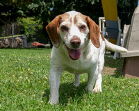 Mackie-1
