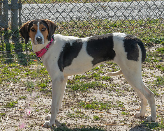 Lucy-1