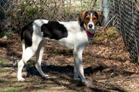 Lucy-3